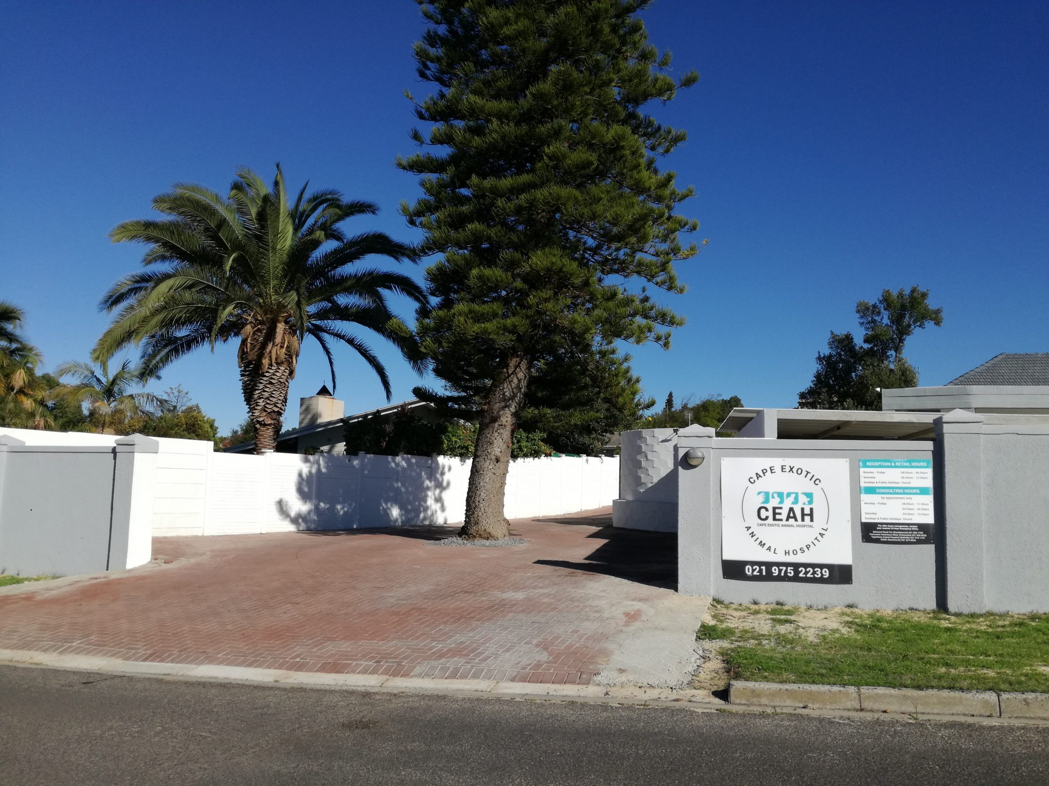 About Us - Cape Exotic Animal Hospital